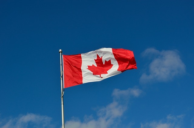 캐나다 국기, 메이플리프