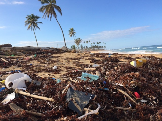 플라스틱 쓰레기와 해변