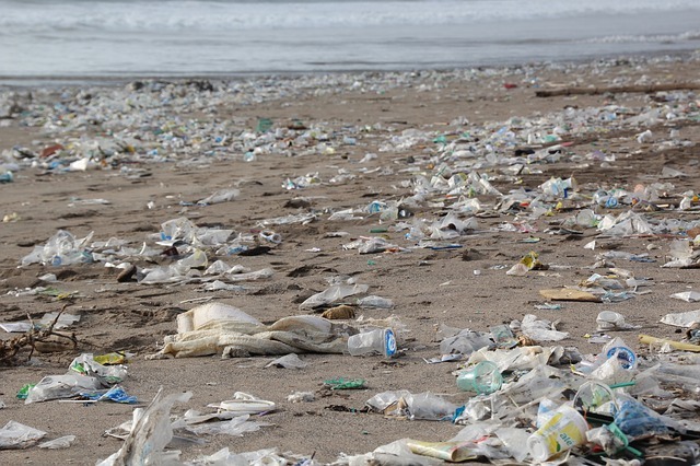 해변 플라스틱 쓰레기
