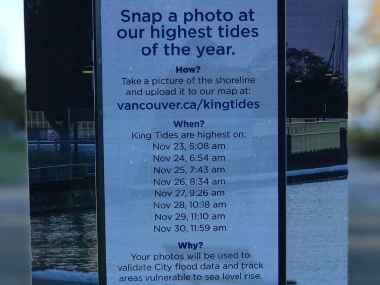 밴쿠버 시청, "킹타이드 사진 올려주세요" 시민에 요청
