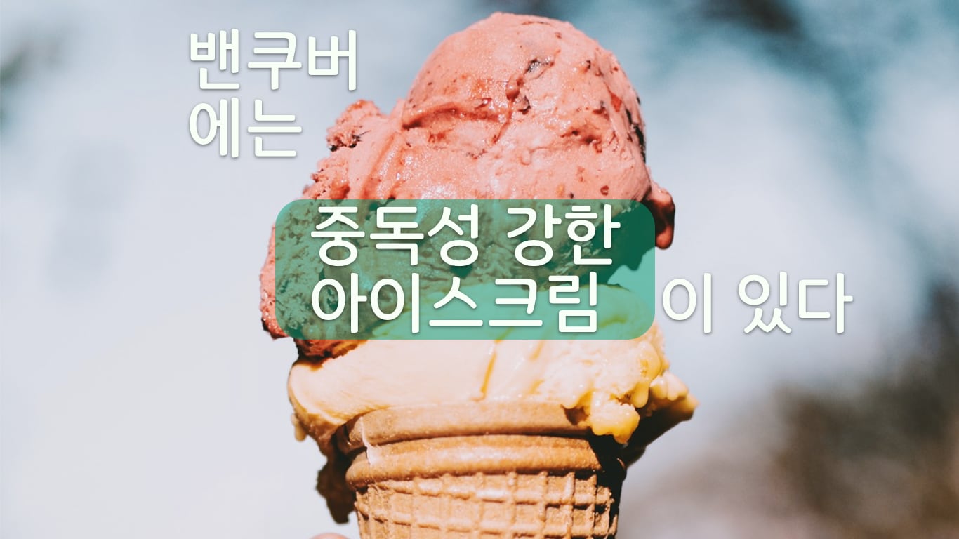 밴쿠버 아이스크림의 전설 7곳 icecream