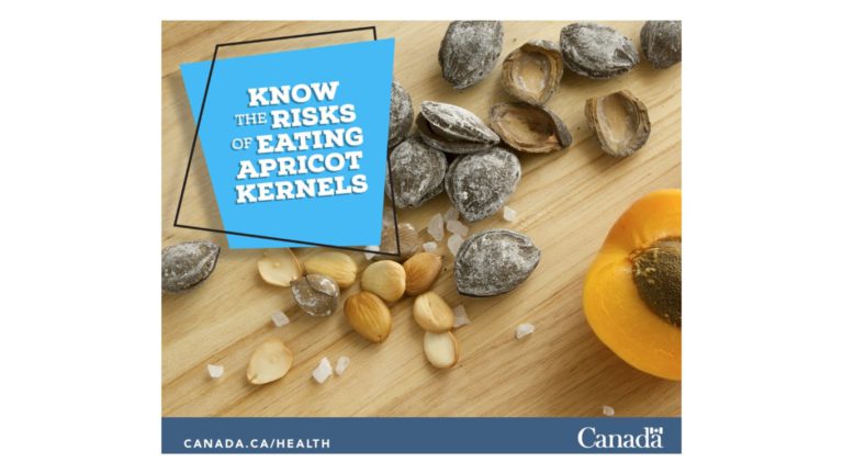 "살구씨는 먹는게 아니다" 캐나다 보건부 경고