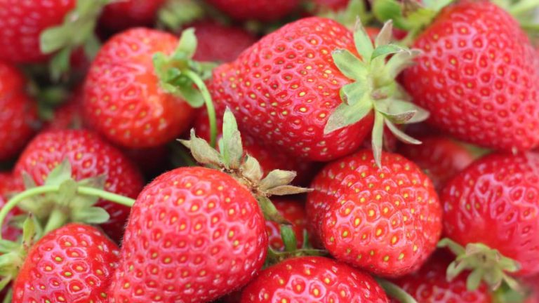 6월은 메트로밴쿠버 딸기철, 무엇을 만들어 볼까?