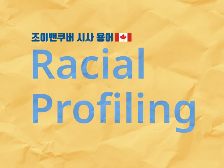 인종 차별의 한 형태, Racial Profiling